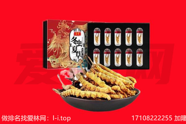 泰州泰兴市回收虫草.jpg
